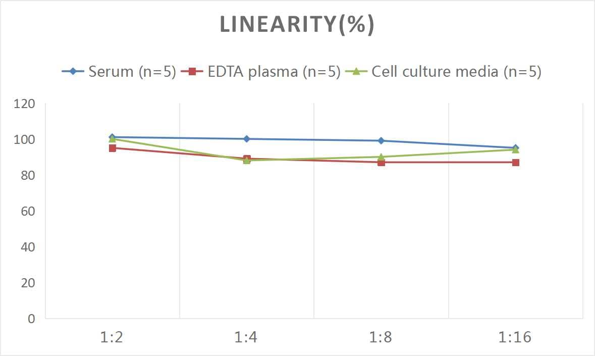 ELISA Human ADAMTS18 ELISA Kit (Colorimetric)