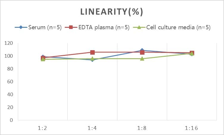 ELISA: Human ADAMTS4 ELISA Kit (Chemiluminescence) [NBP2-66443] - Samples were spiked with high concentrations of Human ADAMTS4 and diluted with Reference Standard & Sample Diluent to produce samples with values within the range of the assay.