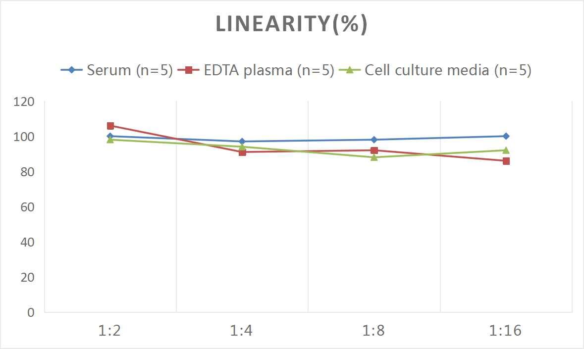 ELISA Human ADAMTS7 ELISA Kit (Colorimetric)