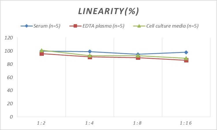 ELISA: Human ADAMTS9 ELISA Kit (Colorimetric) [NBP2-66447] - Samples were spiked with high concentrations of Human ADAMTS9 and diluted with Reference Standard & Sample Diluent to produce samples with values within the range of the assay.