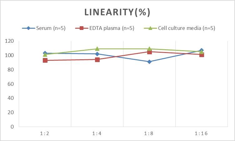 ELISA: Human Adenylate Cyclase 2 ELISA Kit (Chemiluminescence) [NBP2-66449] - Samples were spiked with high concentrations of Human Adenylate Cyclase 2 and diluted with Reference Standard & Sample Diluent to produce samples with values within the range of the assay.