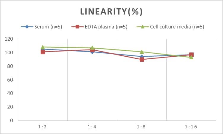 ELISA Human AdipoR2 ELISA Kit (Chemiluminescence)