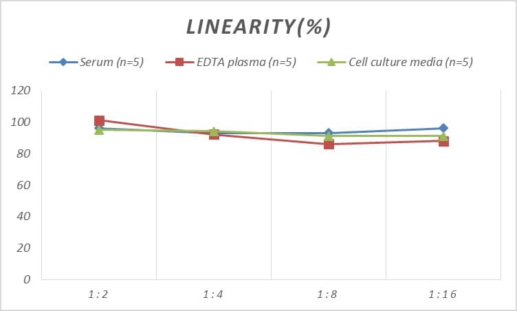 ELISA: Rat beta-1 Adrenergic R/ADRB1 ELISA Kit (Colorimetric) [NBP2-66654] - Samples were spiked with high concentrations of Rat beta-1 Adrenergic R/ADRB1 and diluted with Reference Standard & Sample Diluent to produce samples with values within the range of the assay.