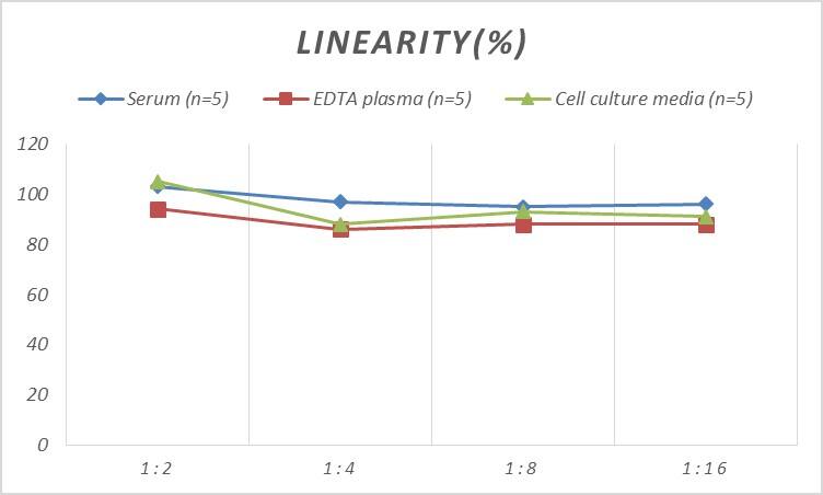 ELISA: Human AFAP ELISA Kit (Colorimetric) [NBP2-66655] - Samples were spiked with high concentrations of Human AFAP and diluted with Reference Standard & Sample Diluent to produce samples with values within the range of the assay.