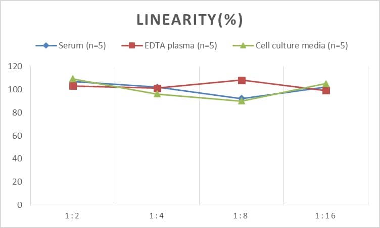 ELISA: Rat AGER ELISA Kit (Chemiluminescence) [NBP2-66658] - Samples were spiked with high concentrations of Rat AGER and diluted with Reference Standard & Sample Diluent to produce samples with values within the range of the assay.