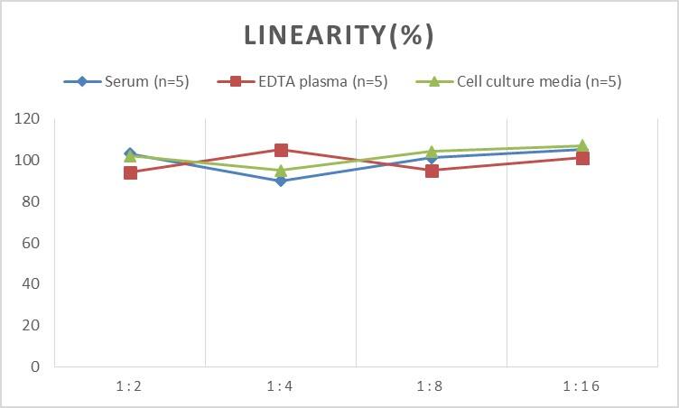 ELISA: Human VG5Q ELISA Kit (Chemiluminescence) [NBP2-66659] - Samples were spiked with high concentrations of Human VG5Q and diluted with Reference Standard & Sample Diluent to produce samples with values within the range of the assay.