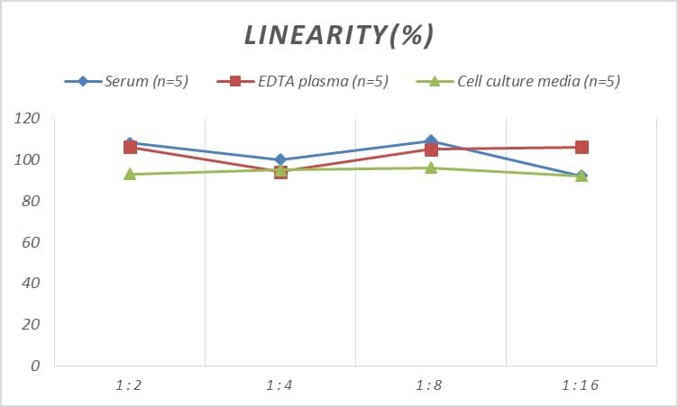 ELISA: Human AG-2/AGR2 ELISA Kit (Chemiluminescence) [NBP2-66660] - Samples were spiked with high concentrations of Human AG-2/AGR2 and diluted with Reference Standard & Sample Diluent to produce samples with values within the range of the assay.