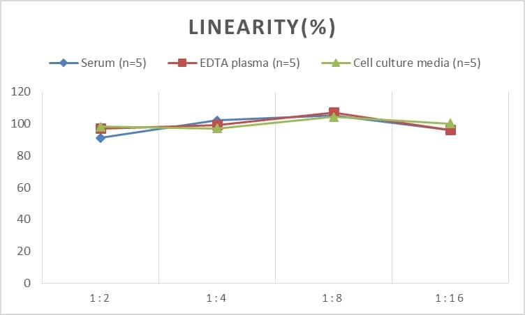 ELISA: Human Agrin ELISA Kit (Chemiluminescence) [NBP2-66661] - Samples were spiked with high concentrations of Human Agrin and diluted with Reference Standard & Sample Diluent to produce samples with values within the range of the assay.