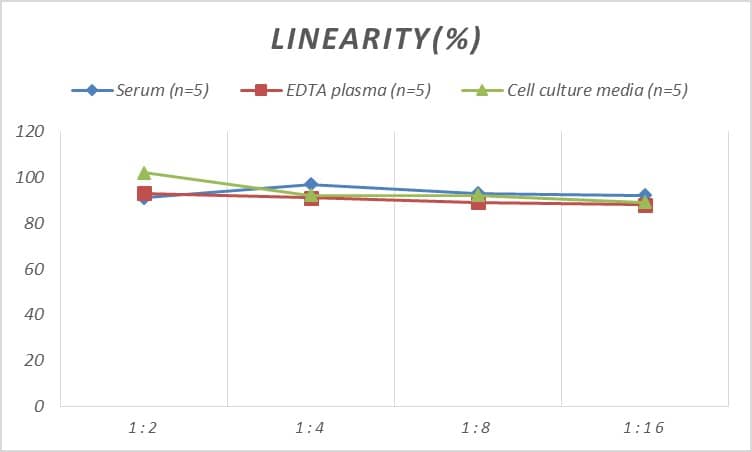 ELISA: Mouse Agrin ELISA Kit (Colorimetric) [NBP2-66662] - Samples were spiked with high concentrations of Mouse Agrin and diluted with Reference Standard & Sample Diluent to produce samples with values within the range of the assay.