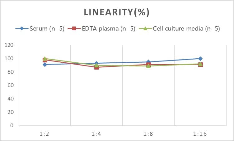 ELISA: Rat Agrin ELISA Kit (Colorimetric) [NBP2-66663] - Samples were spiked with high concentrations of Rat Agrin and diluted with Reference Standard & Sample Diluent to produce samples with values within the range of the assay.