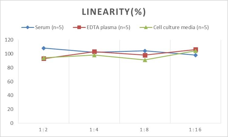 ELISA: Human EMAP-II/AIMP1 ELISA Kit (Chemiluminescence) [NBP2-66678] - Samples were spiked with high concentrations of Human EMAP-II/AIMP1 and diluted with Reference Standard & Sample Diluent to produce samples with values within the range of the assay.