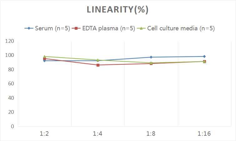 ELISA: Human p27/Kip1 ELISA Kit (Colorimetric) [NBP2-66683] - Samples were spiked with high concentrations of Human p27/Kip1 and diluted with Reference Standard & Sample Diluent to produce samples with values within the range of the assay.