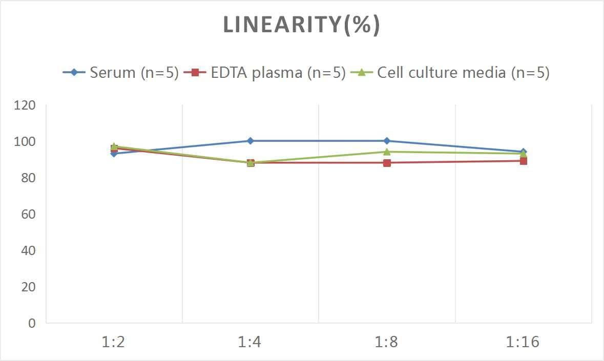 ELISA: Human Tau [p Ser739] ELISA Kit (Colorimetric) [NBP2-66711] - Samples were spiked with high concentrations of Human Tau and diluted with Reference Standard & Sample Diluent to produce samples with values within the range of the assay.