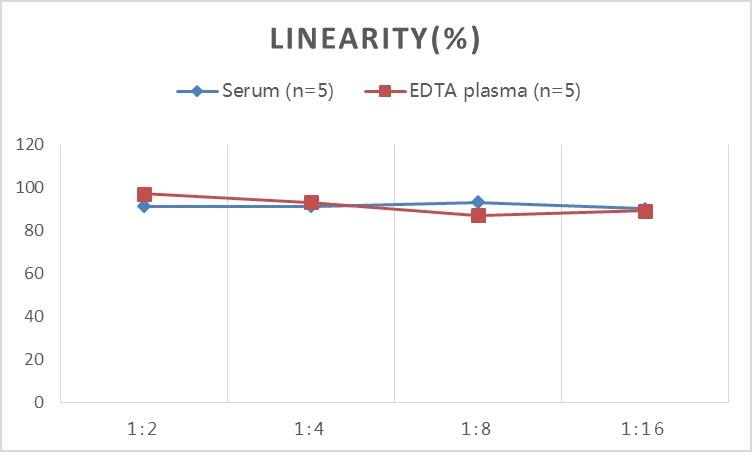 ELISA Human Acetylcholine Receptor Autoantibody ELISA Kit (Colorimetric)