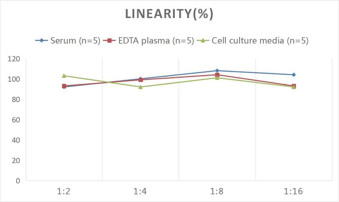 ELISA: Human Angiopoietin-4 ELISA Kit (Chemiluminescence) [NBP2-66730] - Samples were spiked with high concentrations of Human Angiopoietin-4 and diluted with Reference Standard & Sample Diluent to produce samples with values within the range of the assay.