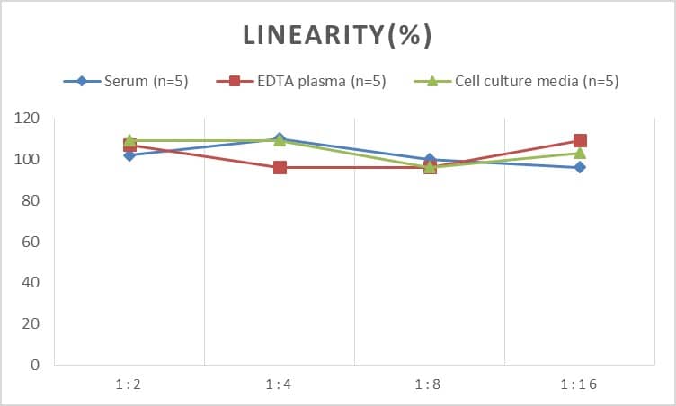 ELISA: Mouse Apolipoprotein B/ApoB ELISA Kit (Chemiluminescence) [NBP2-66735] - Samples were spiked with high concentrations of Mouse Apolipoprotein B/ApoB and diluted with Reference Standard & Sample Diluent to produce samples with values within the range of the assay.