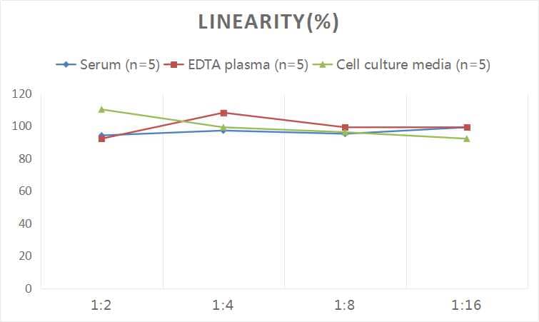 ELISA: Rat Apolipoprotein B/ApoB ELISA Kit (Chemiluminescence) [NBP2-66736] - Samples were spiked with high concentrations of Rat Apolipoprotein B/ApoB and diluted with Reference Standard & Sample Diluent to produce samples with values within the range of the assay.