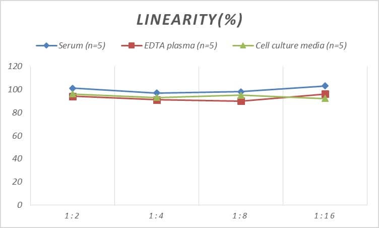 ELISA Rabbit Apolipoprotein E/ApoE ELISA Kit (Colorimetric)