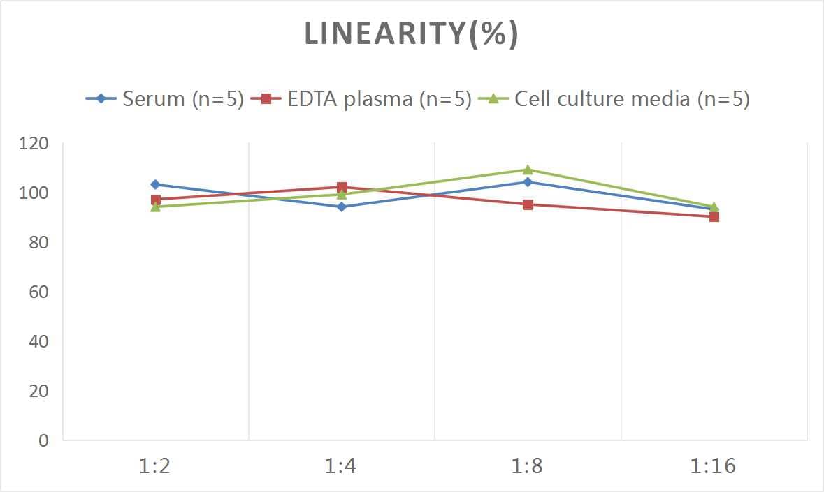 ELISA: Mouse Apolipoprotein E/ApoE ELISA Kit (Chemiluminescence) [NBP2-66739] - Samples were spiked with high concentrations of Mouse Apolipoprotein E/ApoE and diluted with Reference Standard & Sample Diluent to produce samples with values within the range of the assay.