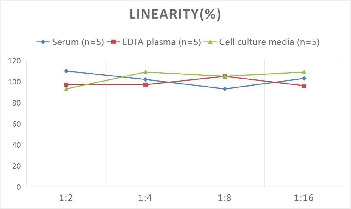 ELISA: Mouse Amphiregulin ELISA Kit (Chemiluminescence) [NBP2-66741] - Samples were spiked with high concentrations of Mouse Amphiregulin and diluted with Reference Standard & Sample Diluent to produce samples with values within the range of the assay.