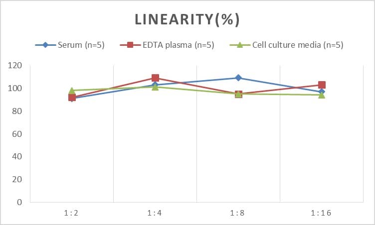 ELISA: Human Midkine ELISA Kit (Chemiluminescence) [NBP2-66744] - Samples were spiked with high concentrations of Human Midkine and diluted with Reference Standard & Sample Diluent to produce samples with values within the range of the assay.