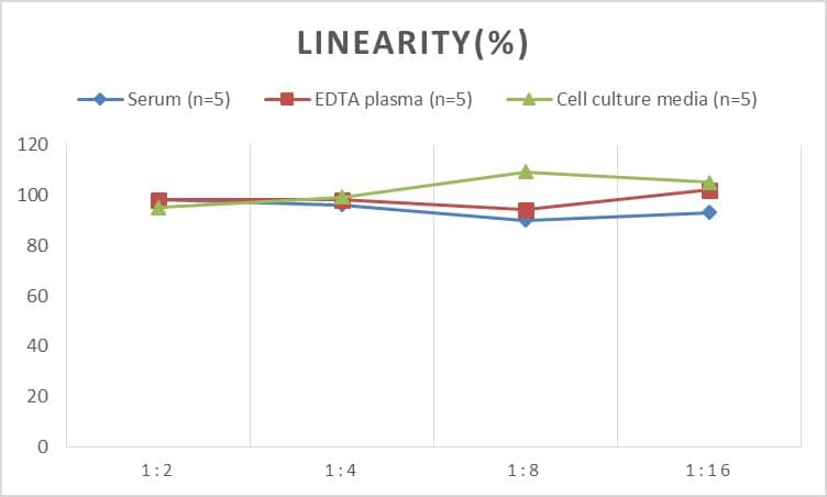 ELISA: Human BPI ELISA Kit (Chemiluminescence) [NBP2-66746] - Samples were spiked with high concentrations of Human BPI and diluted with Reference Standard & Sample Diluent to produce samples with values within the range of the assay.