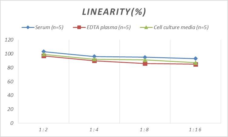 ELISA: Human CTRP2 ELISA Kit (Colorimetric) [NBP2-66752] - Samples were spiked with high concentrations of Human CTRP2 and diluted with Reference Standard & Sample Diluent to produce samples with values within the range of the assay.