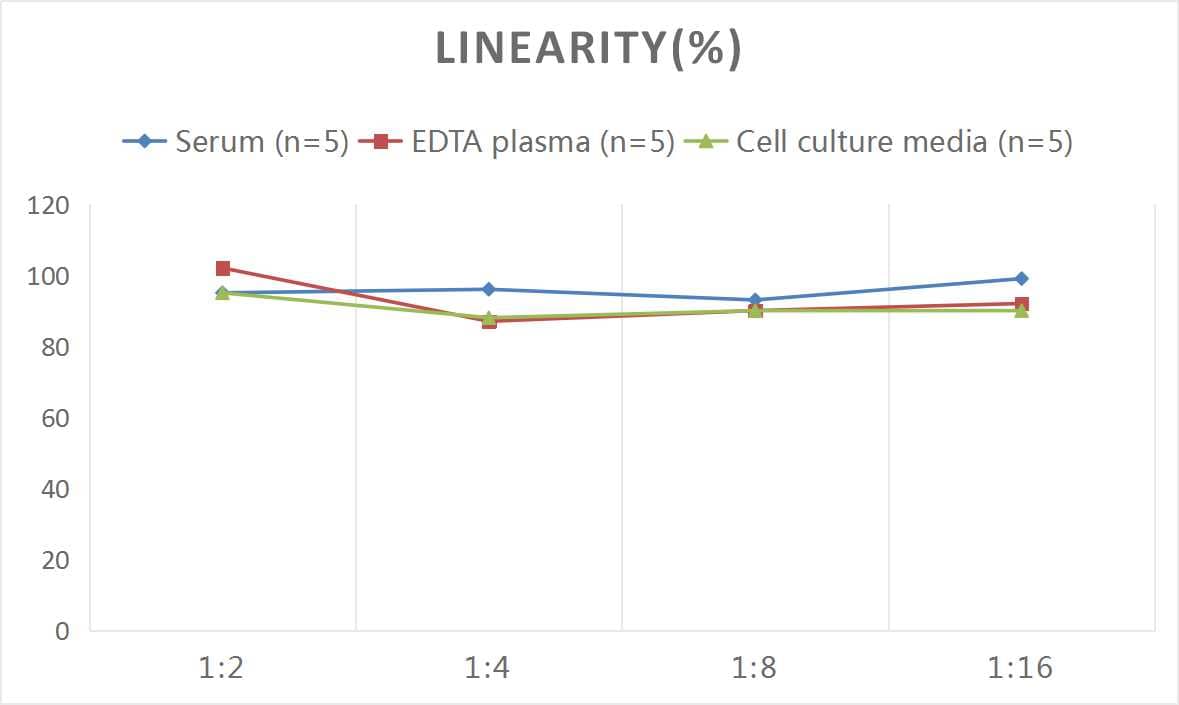 ELISA Human C1qTNF3/CORS26/CTRP3 ELISA Kit (Colorimetric)