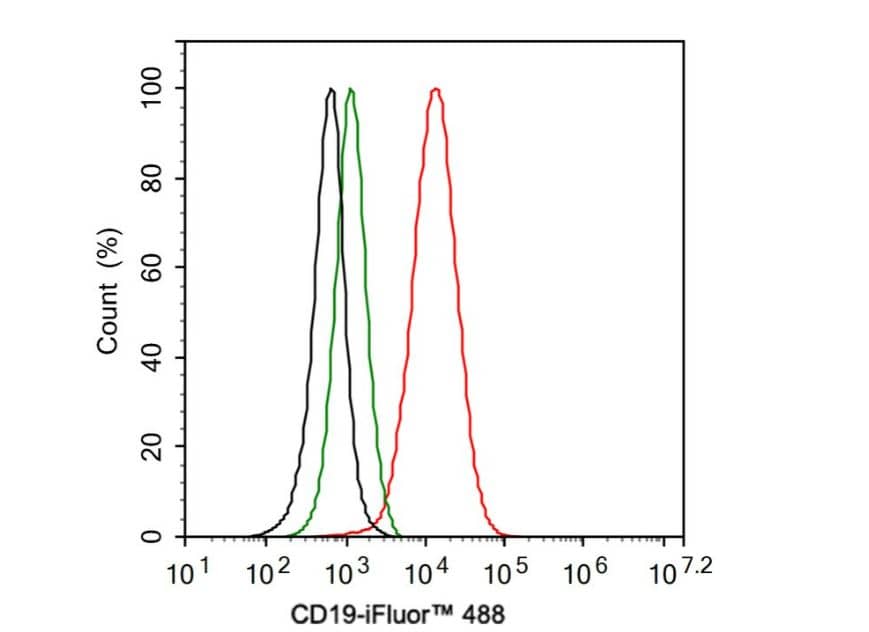 Flow Cytometry: CD19 Antibody (JF100-06) [NBP2-67229] -Analysis of Raji cells labeling CD19.Cells were fixed and permeabilized. Then stained with the primary antibody (1ug/ml) (red) compared with Rabbit IgG Isotype Control (green). After incubation of the primary antibody at +4℃ for an hour, the cells were stained with a iFluor™ 488 conjugate-Goat anti-Rabbit IgG Secondary antibody at 1/1,000 dilution for 30 minutes at +4℃. Unlabelled sample was used as a control (cells without incubation with primary antibody; black).