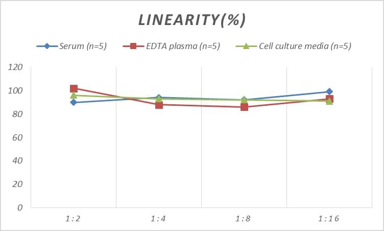 ELISA: Human Dopamine D1R/DRD1 ELISA Kit (Colorimetric) [NBP2-67263] - Samples were spiked with high concentrations of Human Dopamine D1R/DRD1 and diluted with Reference Standard & Sample Diluent to produce samples with values within the range of the assay.