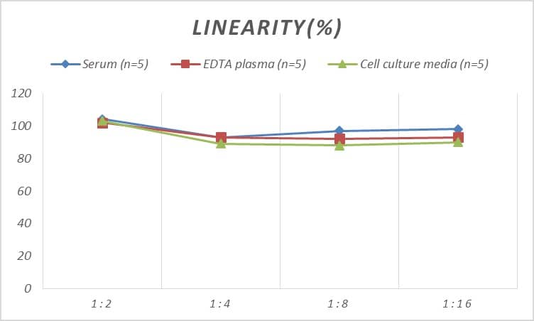 ELISA Human Dopamine D5R/DRD5 ELISA Kit (Colorimetric)