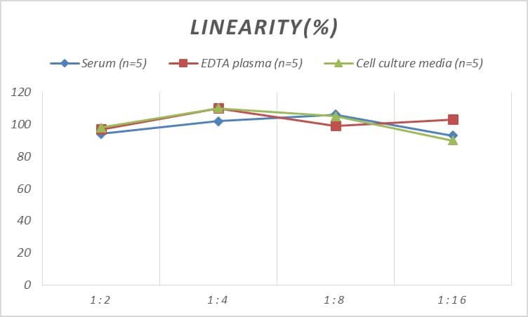 ELISA: Rat Dopamine D1R/DRD1 ELISA Kit (Chemiluminescence) [NBP2-67934] - Samples were spiked with high concentrations of Rat Dopamine D1R/DRD1 and diluted with Reference Standard & Sample Diluent to produce samples with values within the range of the assay.