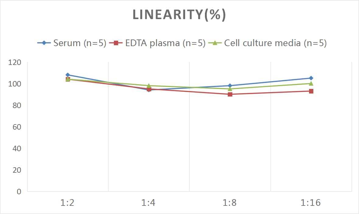 ELISA Human Fibrinogen beta chain ELISA Kit (Chemiluminescence)