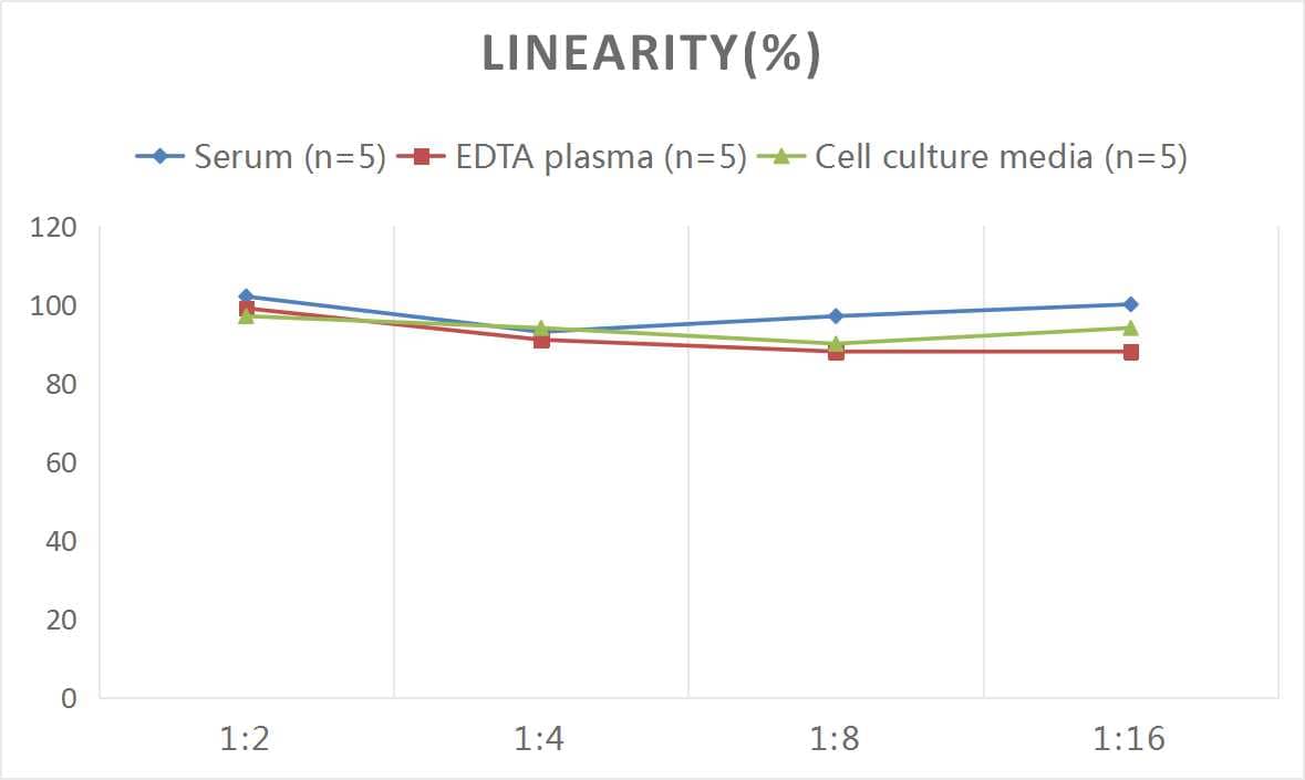 ELISA Human Fibrinogen beta chain ELISA Kit (Colorimetric)