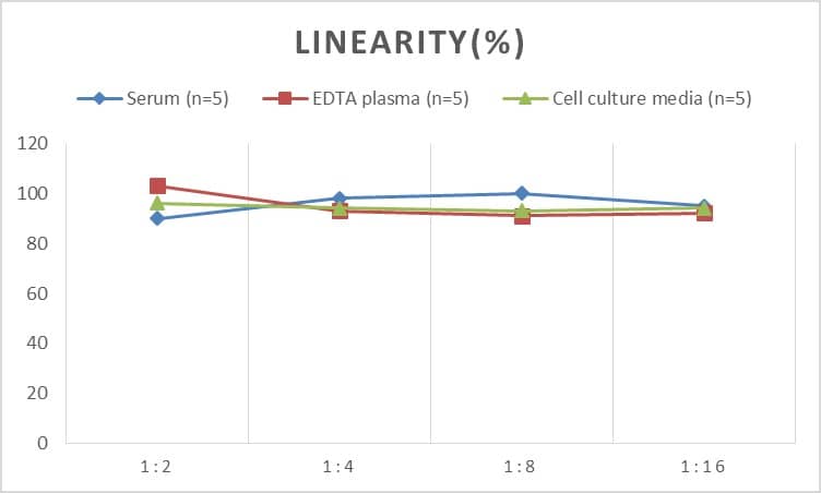 ELISA Rat FLRT2 ELISA Kit (Colorimetric)