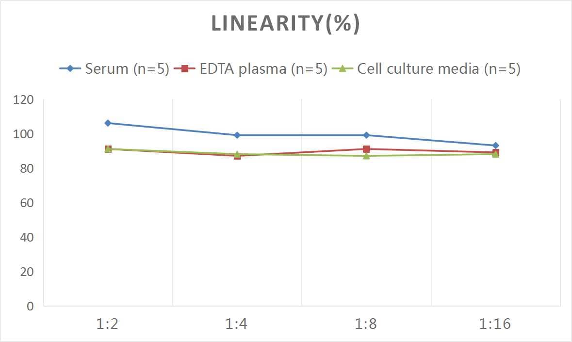 ELISA Human Furin ELISA Kit (Colorimetric)