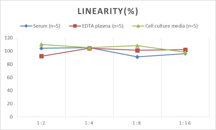 ELISA Human GAD1/GAD67 ELISA Kit (Chemiluminescence)