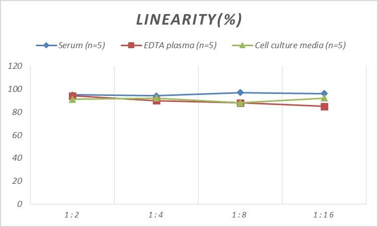 ELISA Human GAD1/GAD67 ELISA Kit (Colorimetric)