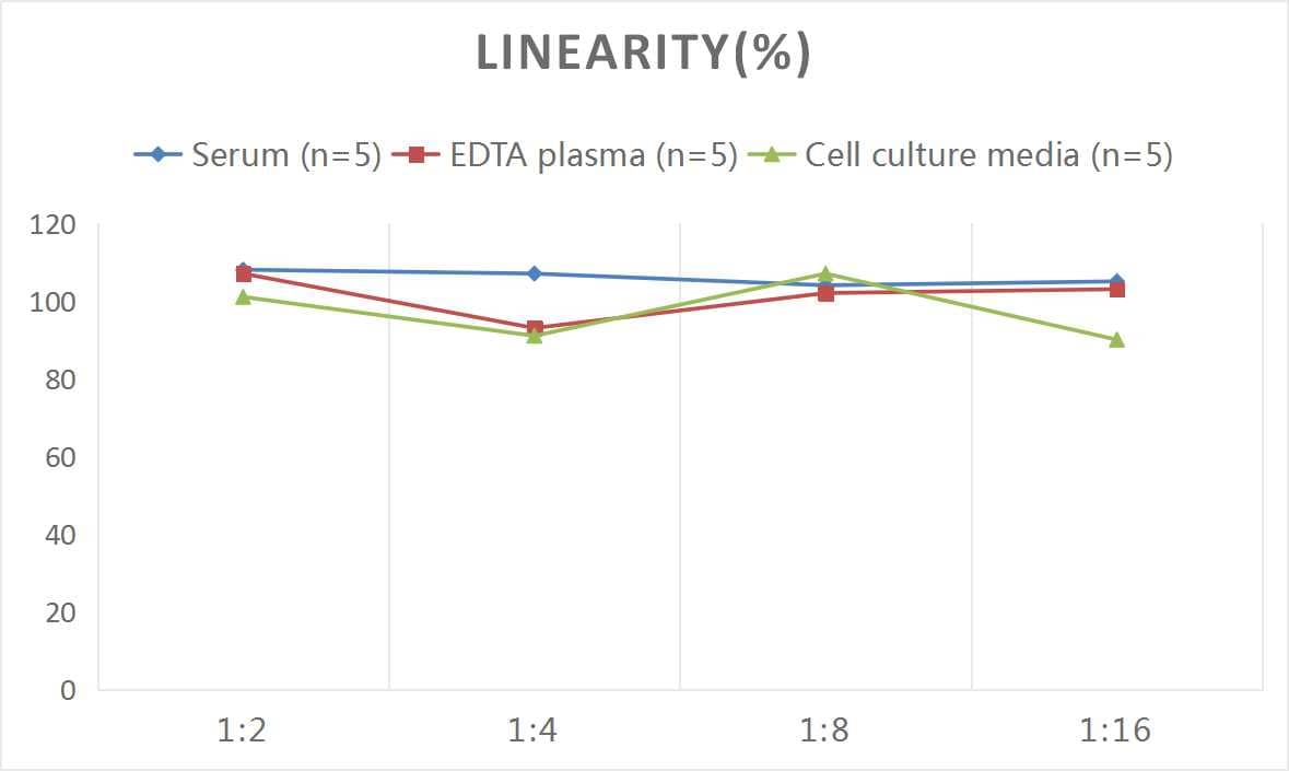 ELISA: Mouse Galectin-3 ELISA Kit (Chemiluminescence) [NBP2-67972] - Samples were spiked with high concentrations of Mouse Galectin-3 and diluted with Reference Standard & Sample Diluent to produce samples with values within the range of the assay.