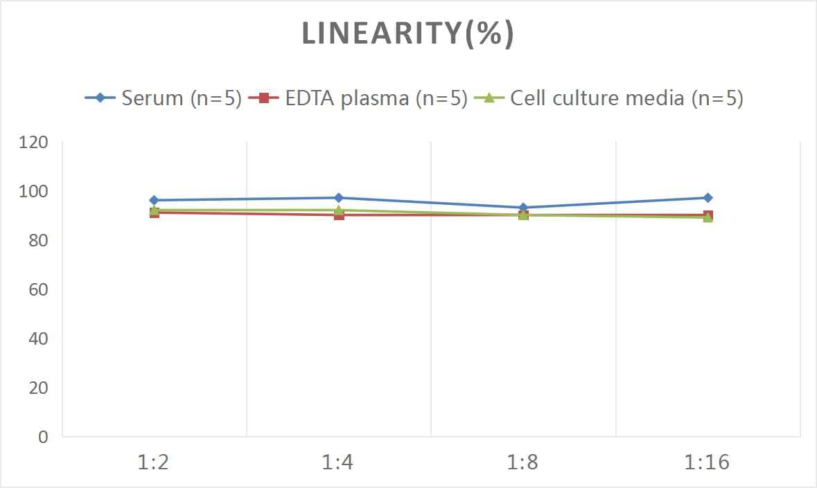 ELISA: Mouse Galectin-3 ELISA Kit (Colorimetric) [NBP2-67973] - Samples were spiked with high concentrations of Mouse Galectin-3 and diluted with Reference Standard & Sample Diluent to produce samples with values within the range of the assay.