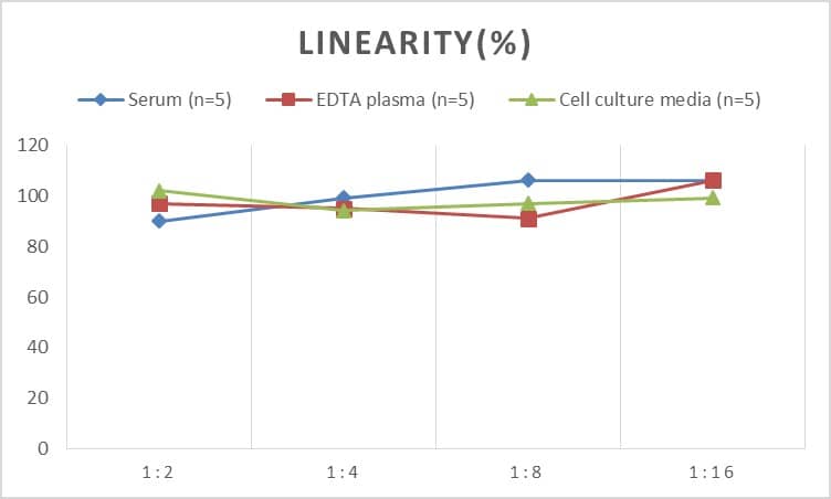 ELISA Human Glucokinase/GCK ELISA Kit (Chemiluminescence)