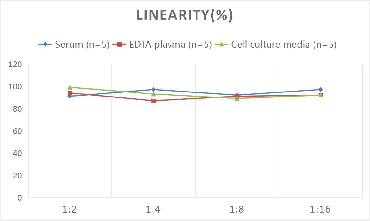 ELISA Rat Glucokinase/GCK ELISA Kit (Colorimetric)