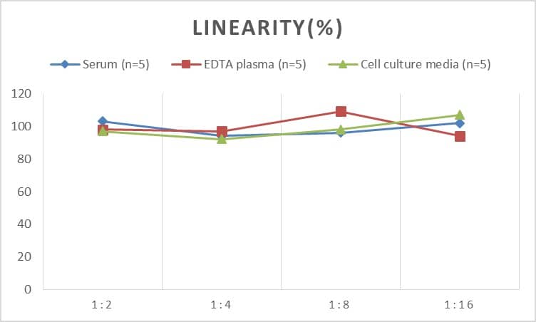 ELISA: Human Glutamate Dehydrogenase ELISA Kit (Chemiluminescence) [NBP2-67990] - Samples were spiked with high concentrations of Human Glutamate Dehydrogenase and diluted with Reference Standard & Sample Diluent to produce samples with values within the range of the assay.