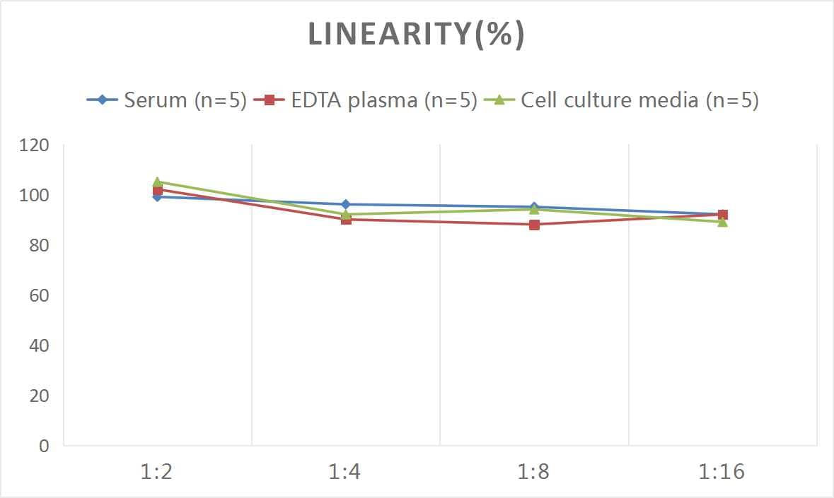 ELISA: Rat GDNF ELISA Kit (Colorimetric) [NBP2-67993] - Samples were spiked with high concentrations of Rat GDNF and diluted with Reference Standard & Sample Diluent to produce samples with values within the range of the assay.