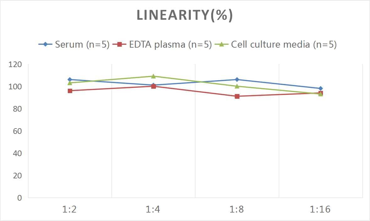 ELISA: Human Growth Hormone 2 ELISA Kit (Chemiluminescence) [NBP2-67994] - Samples were spiked with high concentrations of Human Growth Hormone 2 and diluted with Reference Standard & Sample Diluent to produce samples with values within the range of the assay.