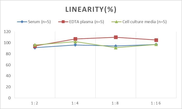 ELISA: Human Tie-1 ELISA Kit (Chemiluminescence) [NBP2-67998] - Samples were spiked with high concentrations of Human Tie-1 and diluted with Reference Standard & Sample Diluent to produce samples with values within the range of the assay.