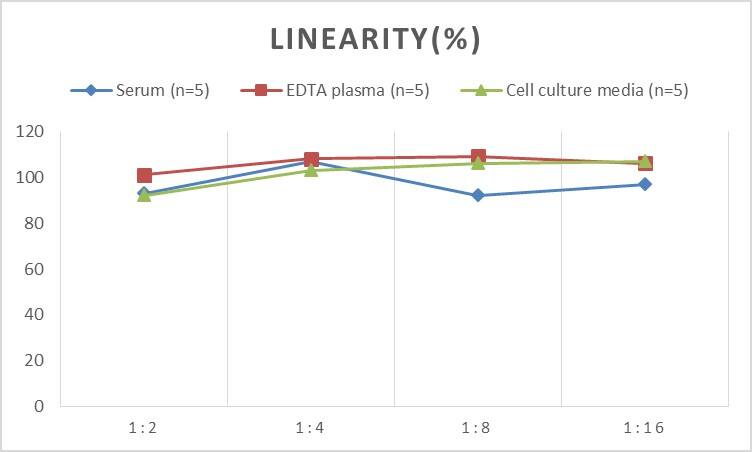 ELISA: Human GHITM ELISA Kit (Chemiluminescence) [NBP2-68004] - Samples were spiked with high concentrations of Human GHITM and diluted with Reference Standard & Sample Diluent to produce samples with values within the range of the assay.