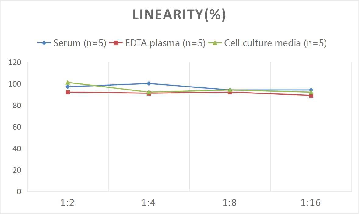 ELISA Mouse Glutamate Dehydrogenase ELISA Kit (Colorimetric)