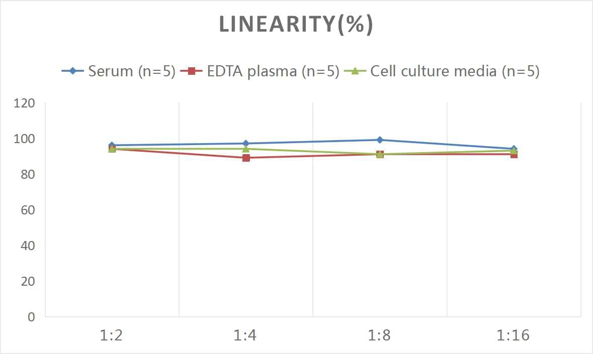 ELISA Human GluR1 ELISA Kit (Colorimetric)
