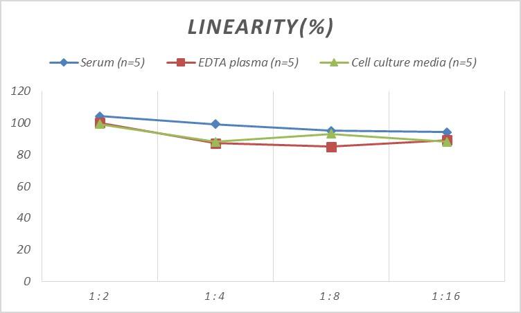 ELISA Rat GluR1 ELISA Kit (Colorimetric)